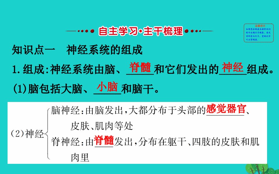 七年级生物下册4.6.2神经系统的组成习题课件新版新人教版