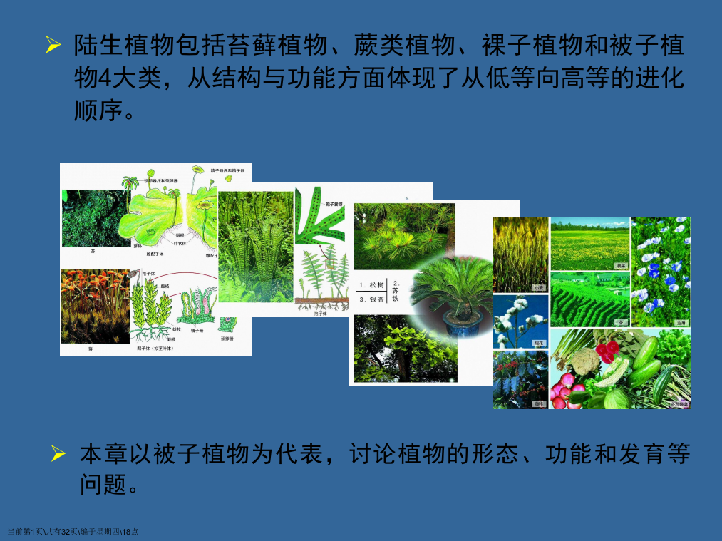 普通生物学A植物的结构功能和发育(上)