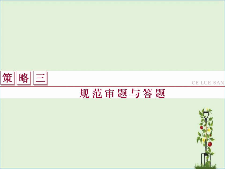 2023年高考地理二轮复习第二部分高分提能策略三规范审题与答题课件