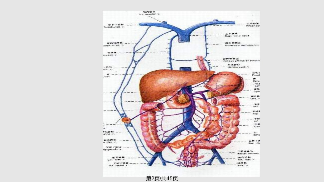 肠梗阻专科讲座