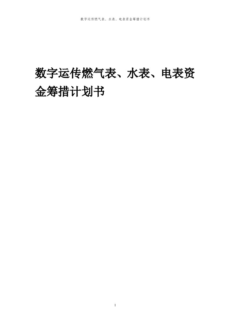 2024年数字运传燃气表、水表、电表项目资金筹措计划书代可行性研究报告