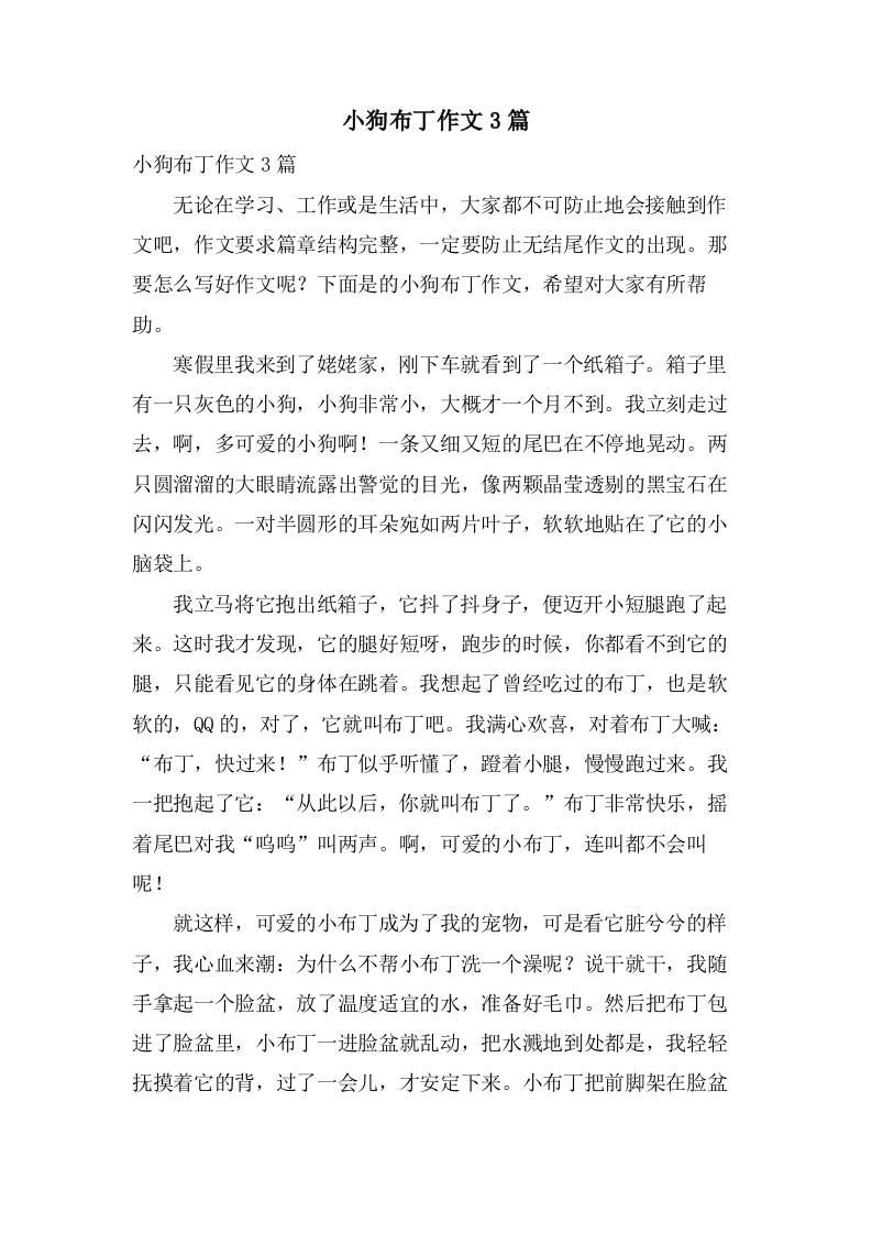 小狗布丁作文3篇