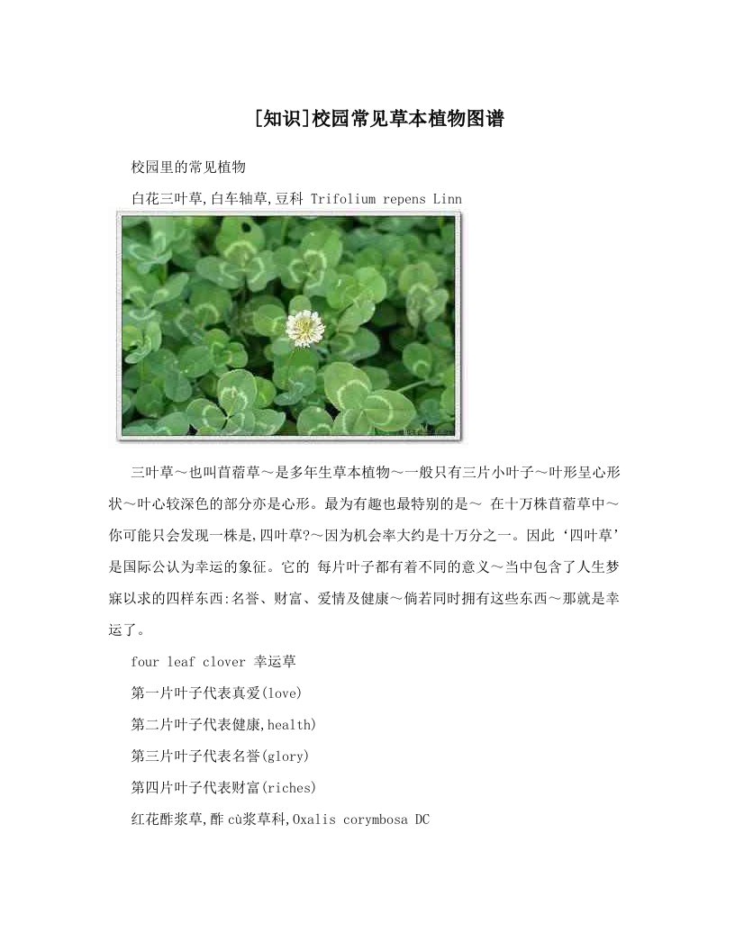 [知识]校园常见草本植物图谱