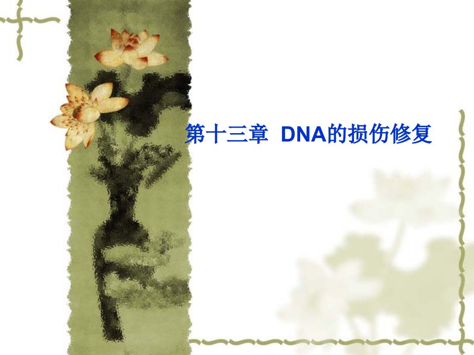 十三章节DNA损伤修复