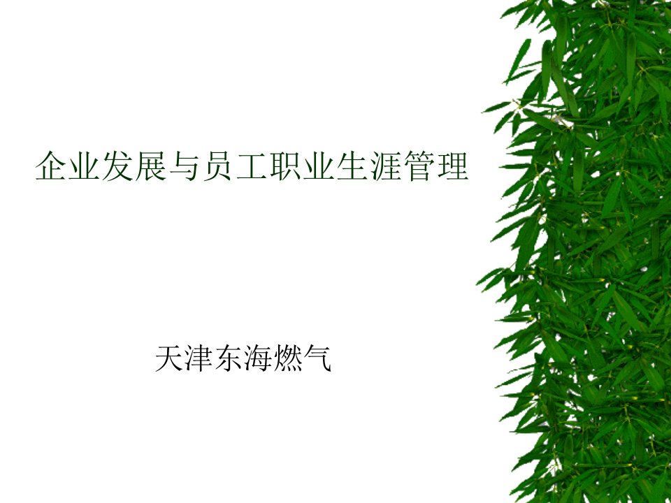 企业发展与员工职业生涯管理