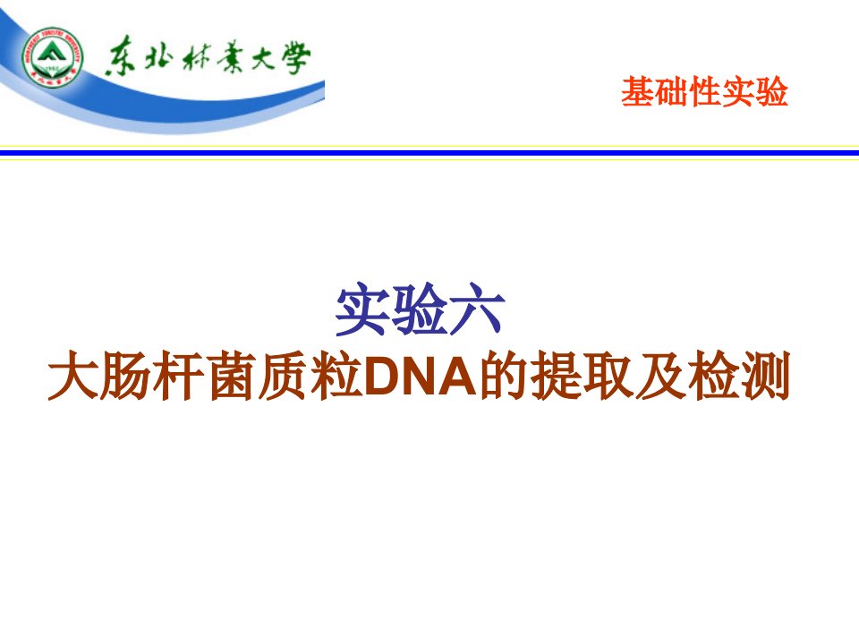 实验大肠杆菌质粒DNA的提取与电泳检测