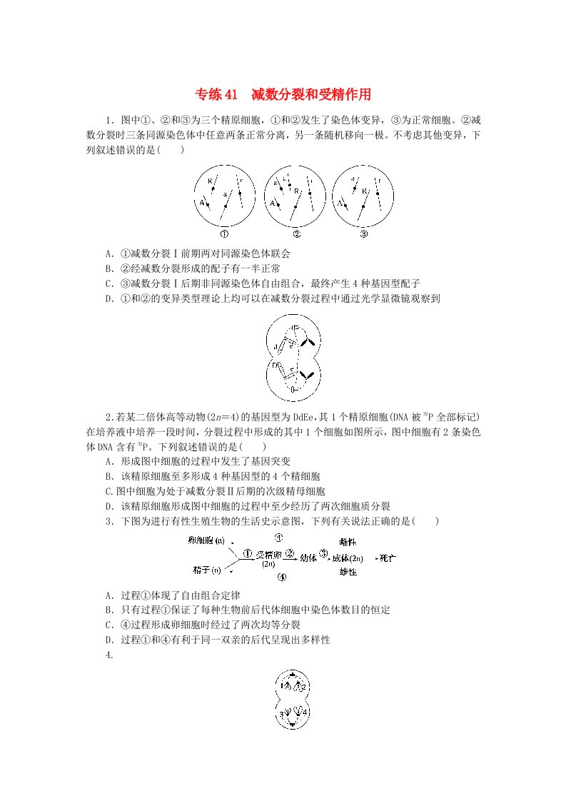 新高考2024版高考生物一轮复习微专题小练习专练41减数分裂和受精作用