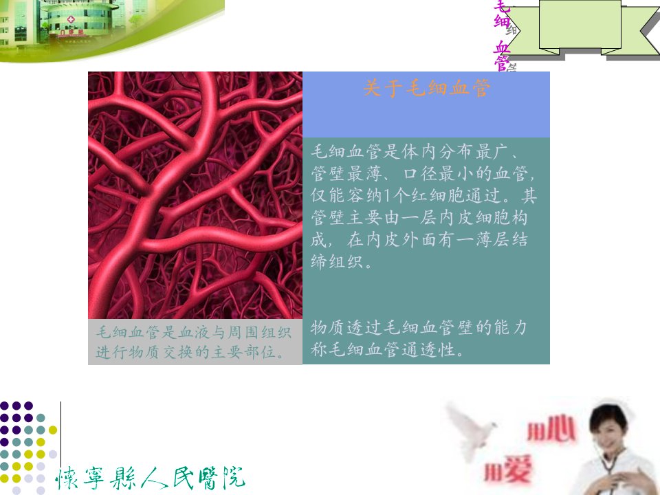 医学专题毛细血管渗漏综合征资料