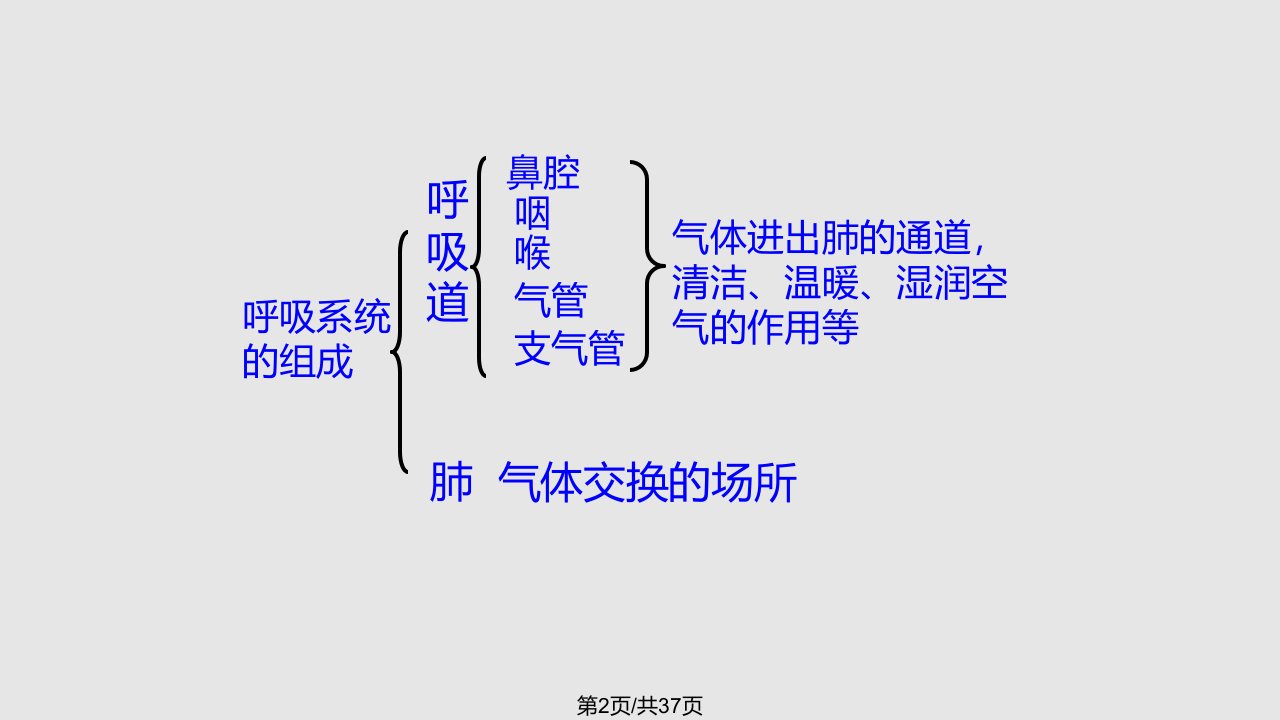 生物人体与外界的气体交换济南七年级下