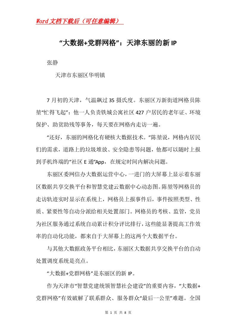 大数据党群网格天津东丽的新IP