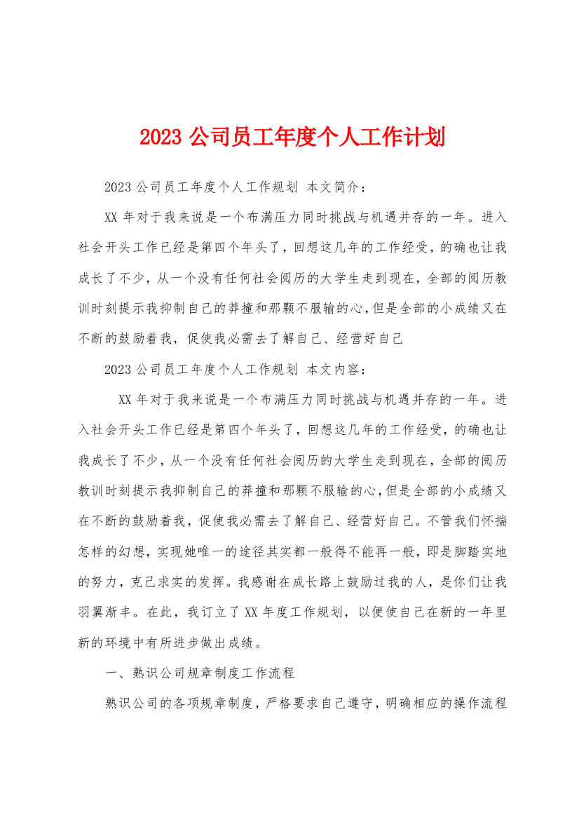 2023年公司员工年度个人工作计划