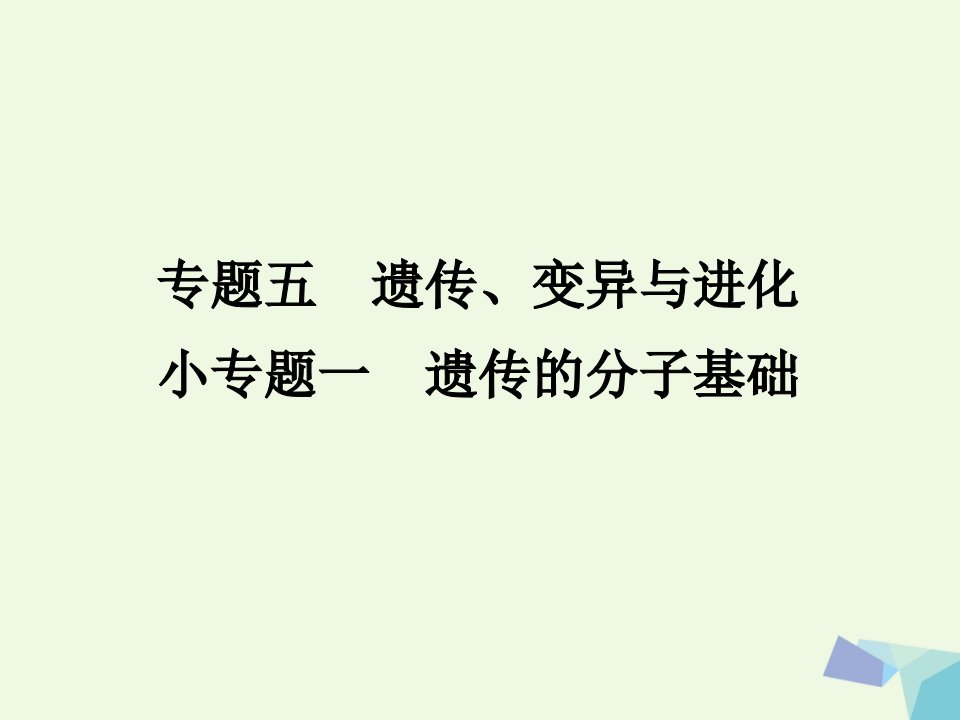 临门一脚高考生物三轮考前重点专题突破：专题一遗传的分子基次件