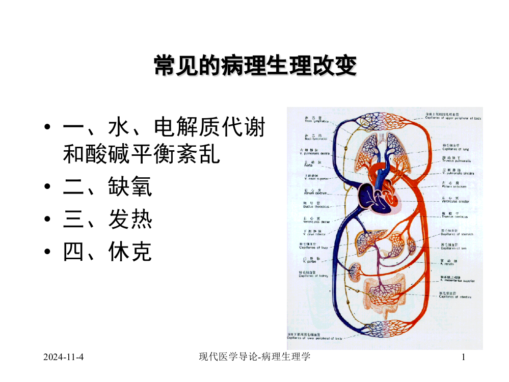 现代医学导论(病理生理学)