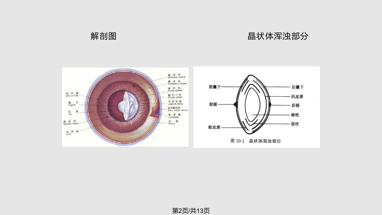 白内障围手术期处理