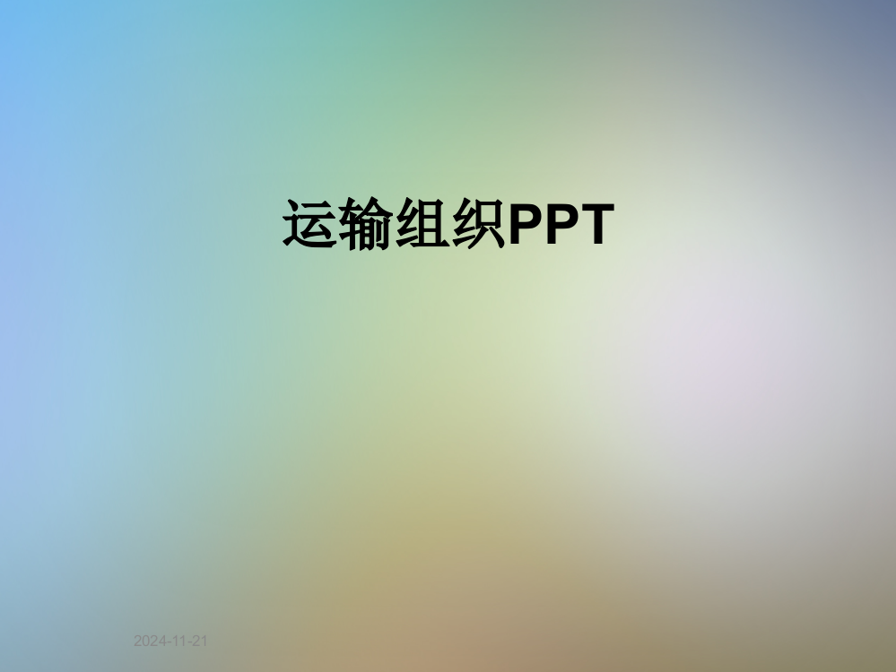 运输组织PPT