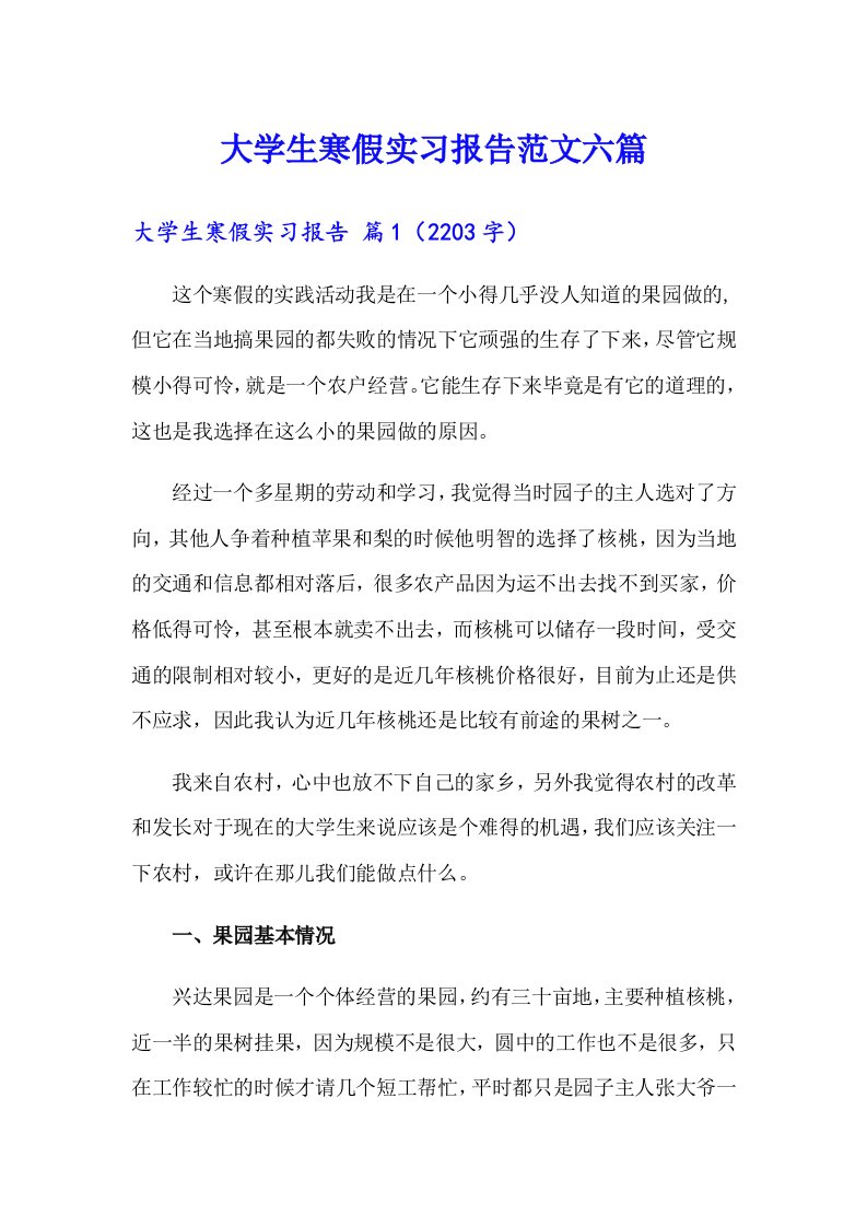 大学生寒假实习报告范文六篇