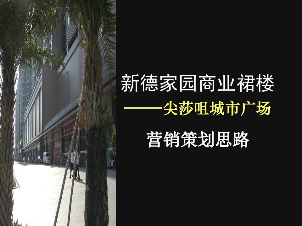 深圳南山新德家园商业裙楼项目营销策略报告