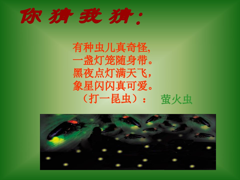 绿色蝈蝈方琼公开课