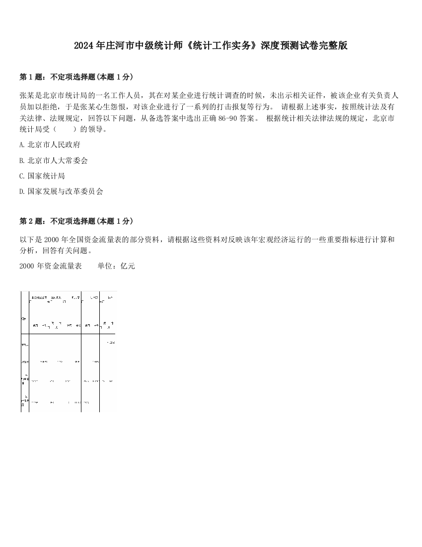 2024年庄河市中级统计师《统计工作实务》深度预测试卷完整版