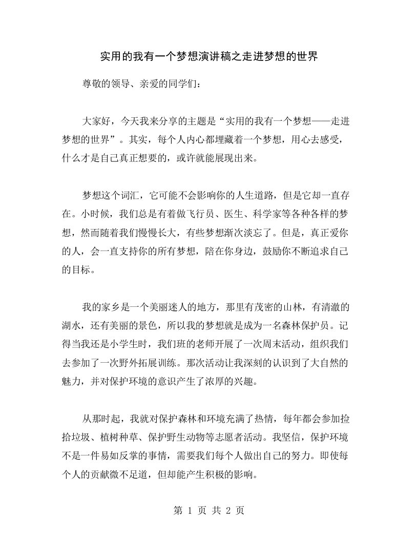 实用的我有一个梦想演讲稿之走进梦想的世界