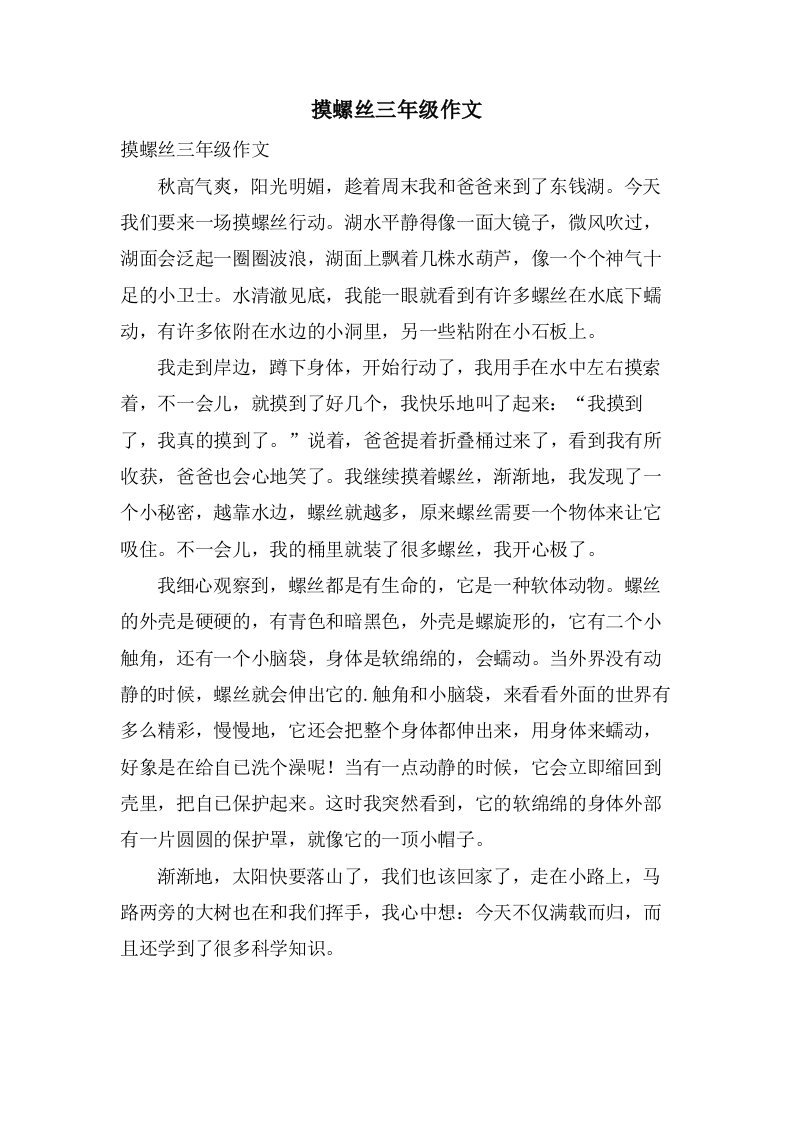 摸螺丝三年级作文