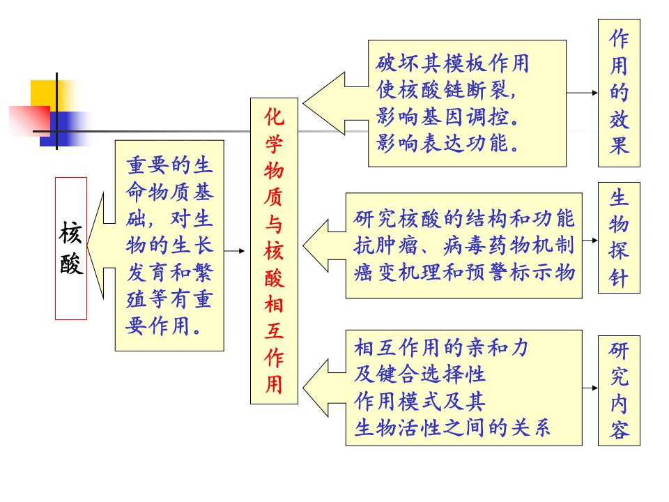 化学生物学第八章化学物质与核酸的相互作用ppt课件