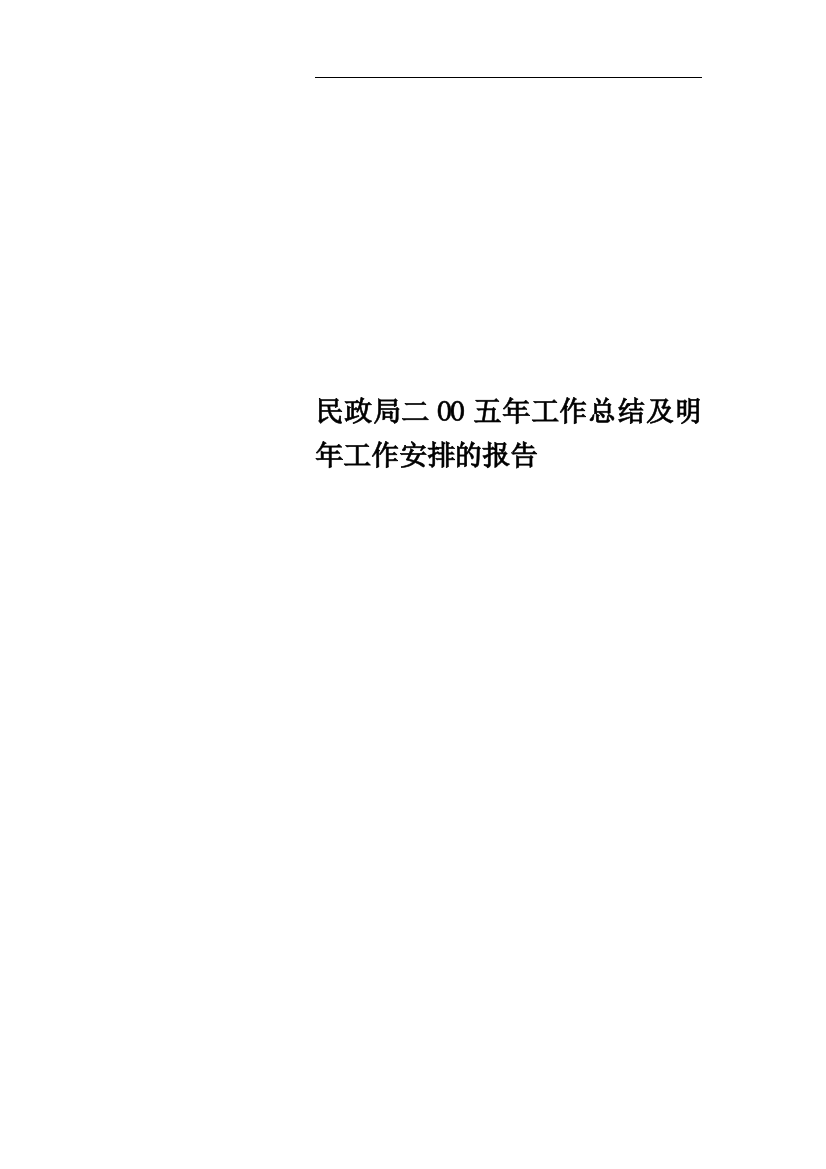 民政局二OO五年工作总结及明年工作安排的报告