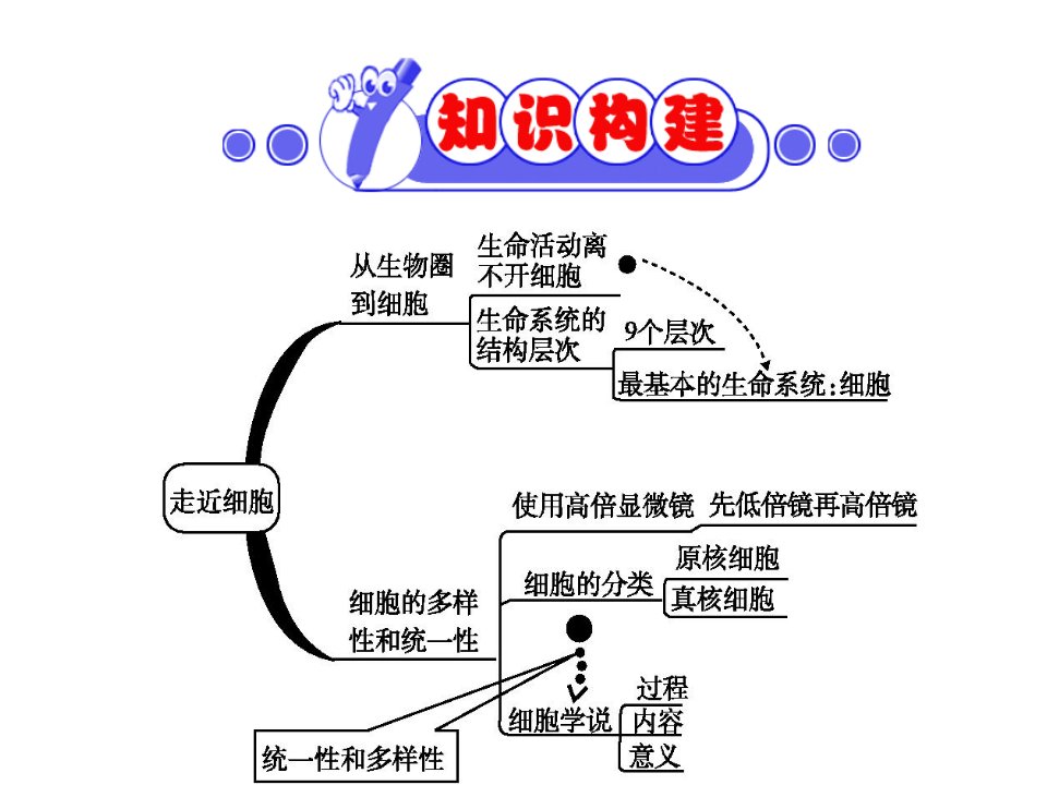 生物必修一复习市公开课一等奖市赛课获奖课件