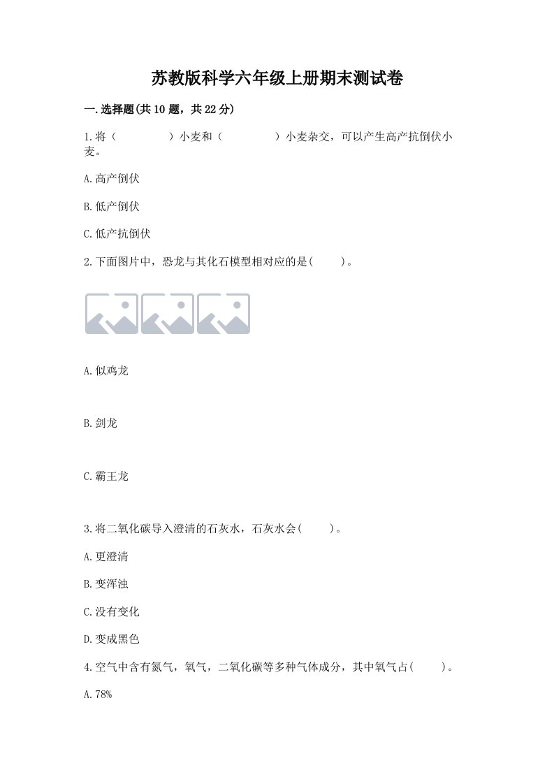 苏教版科学六年级上册期末测试卷附答案【黄金题型】