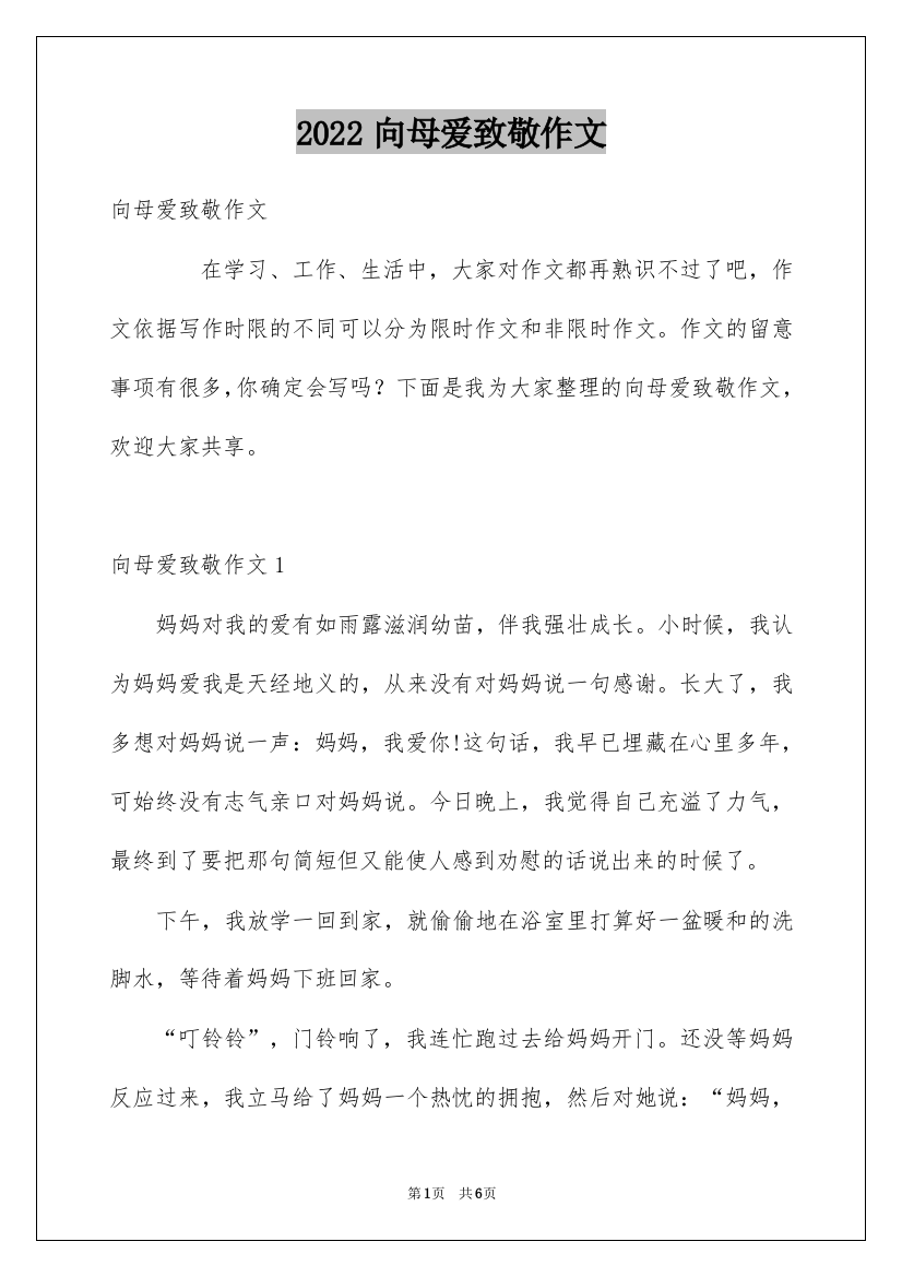 2022向母爱致敬作文