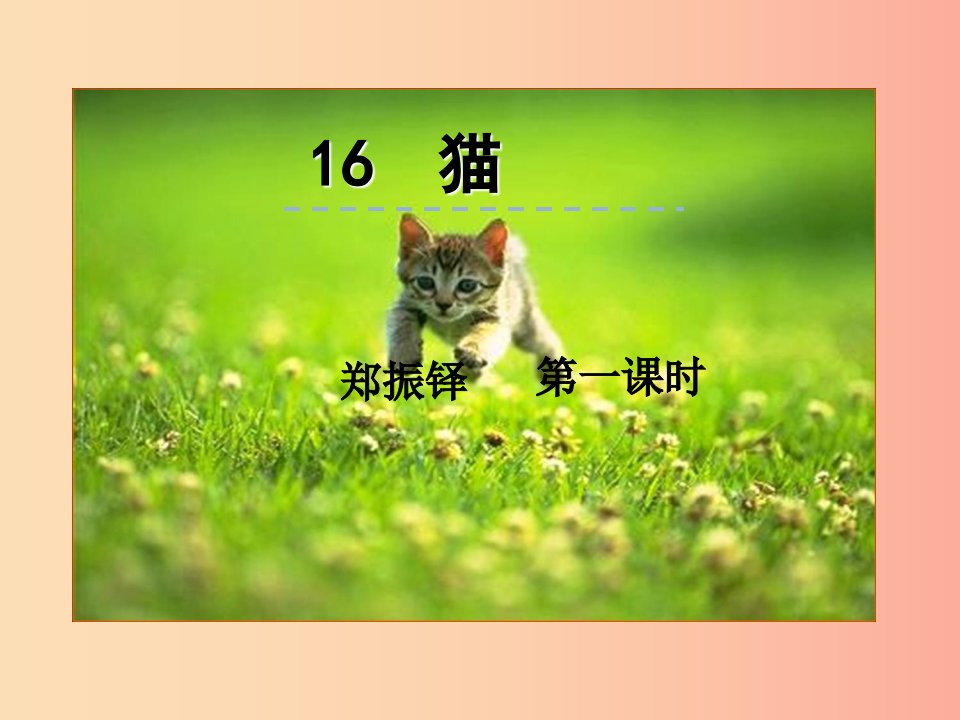 2019年七年级语文上册第五单元16猫第一课时课件新人教版