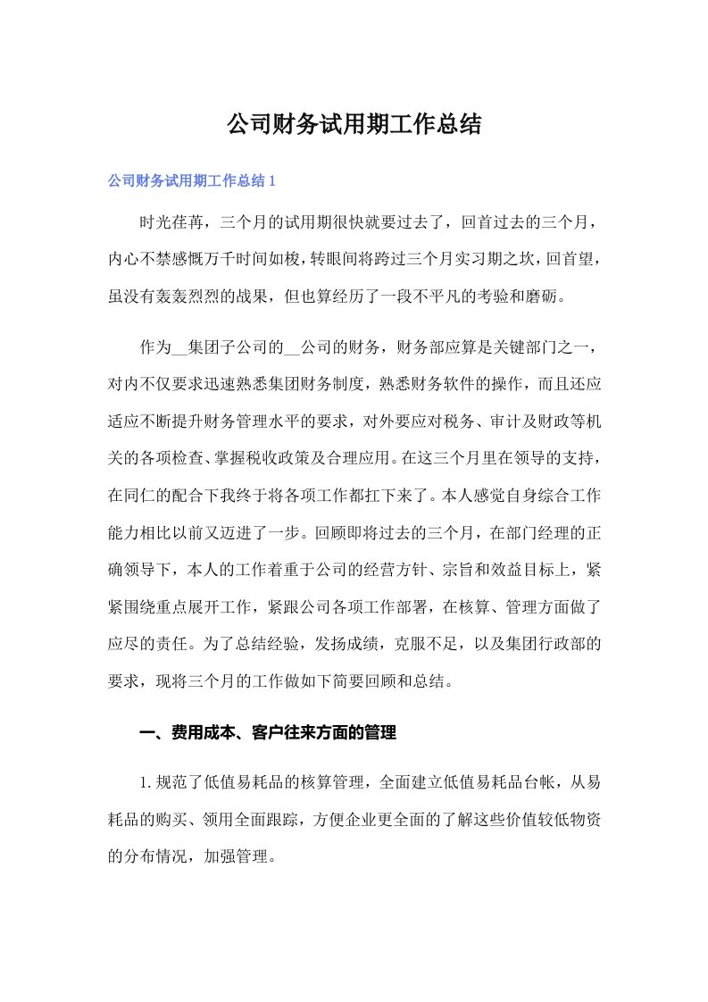 公司财务试用期工作总结