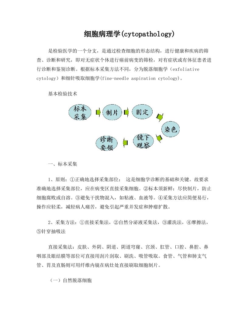 脱落细胞学(细胞病理学)整理,上篇(修正版)