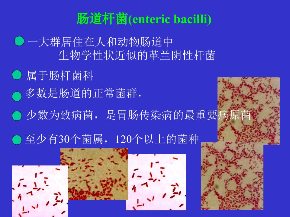 肠杆菌科(ppt43)-经营管理