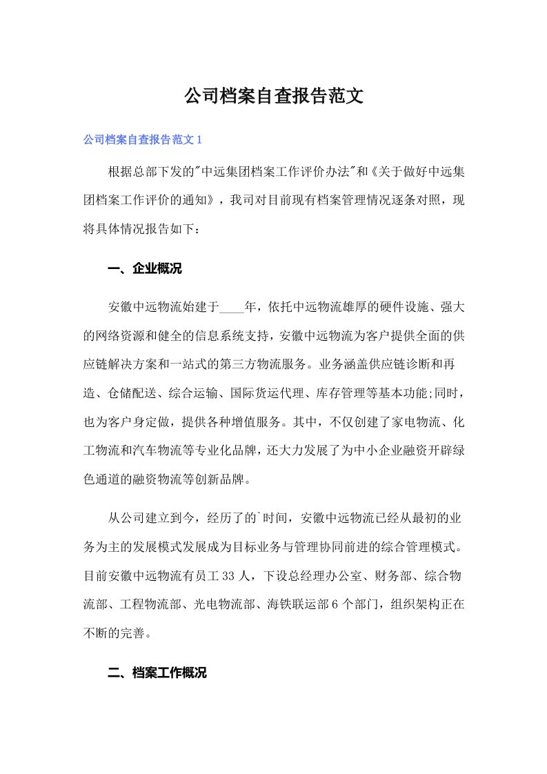 公司档案自查报告范文