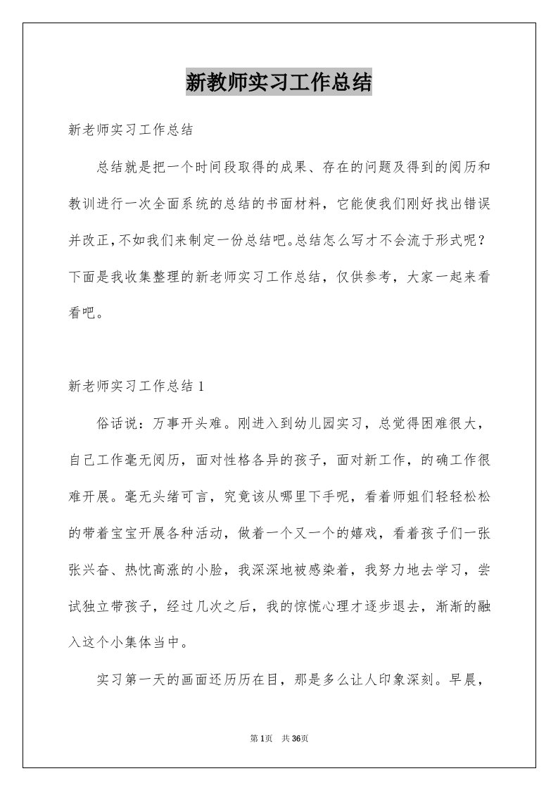 新教师实习工作总结例文