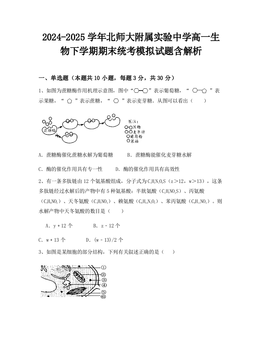 2024-2025学年北师大附属实验中学高一生物下学期期末统考模拟试题含解析