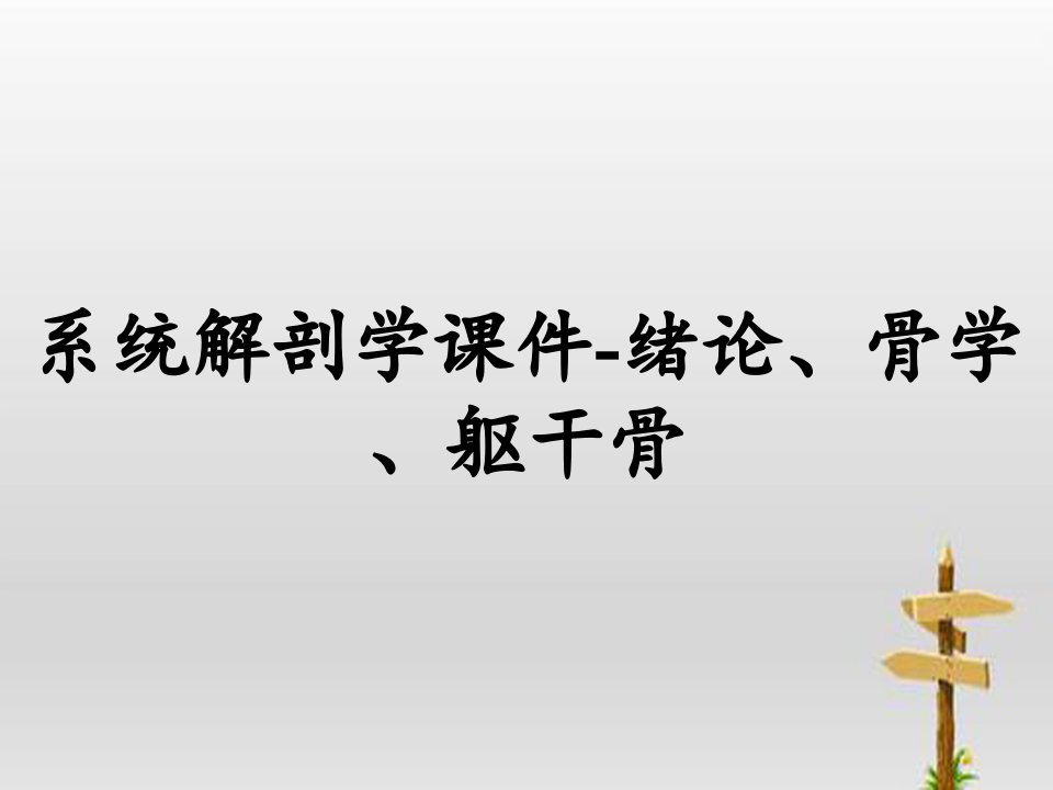 系统解剖学课件-绪论、骨学、躯干骨