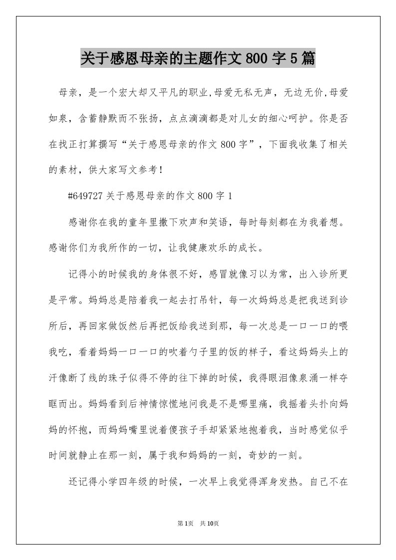 关于感恩母亲的主题作文800字5篇