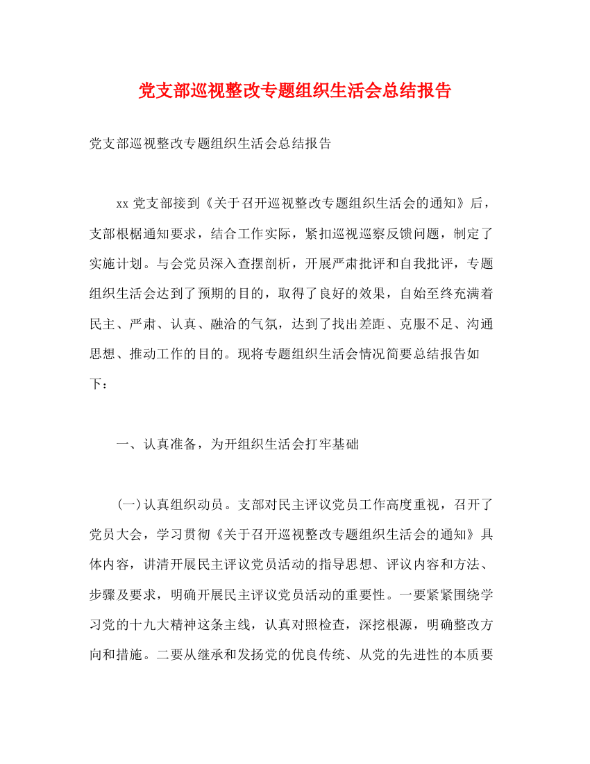 精编之党支部巡视整改专题组织生活会总结报告2)