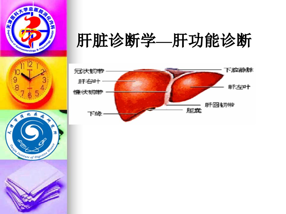 肝脏诊断学肝功能检验课件