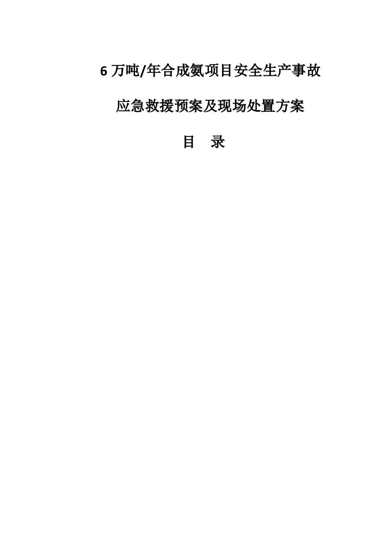 6万吨年合成氨项目安全生产事故应急救援预案及现场处置方案