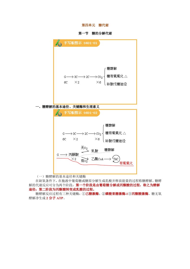 执业医师最全考点解析系列生物化学部分第四节-糖代谢