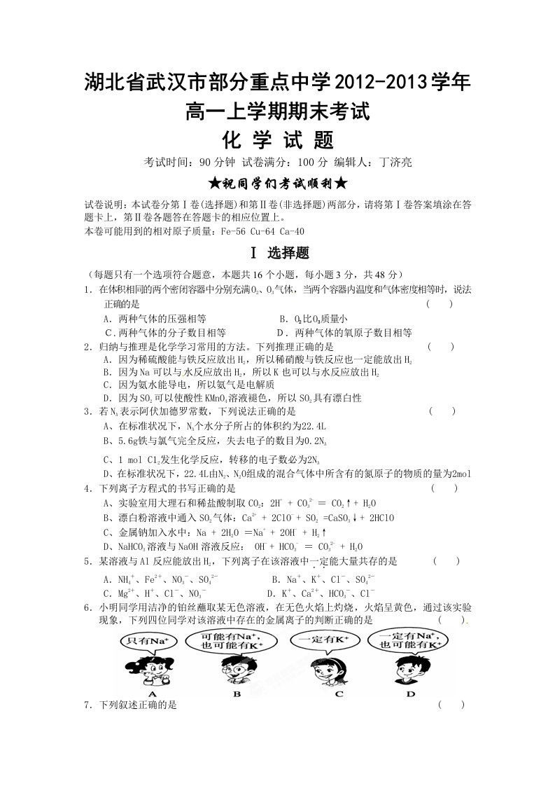 湖北省武汉市部分重点中学2012-2013学年高一上学期期末考试化学试题