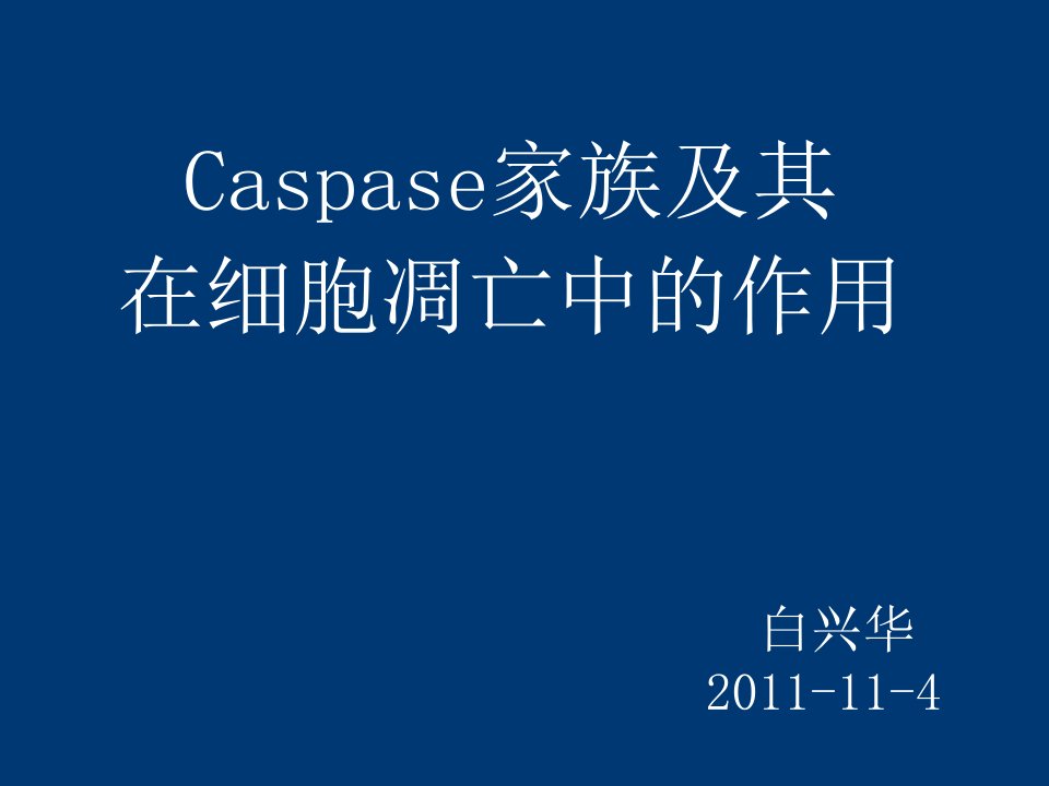 《caspase蛋白》PPT课件