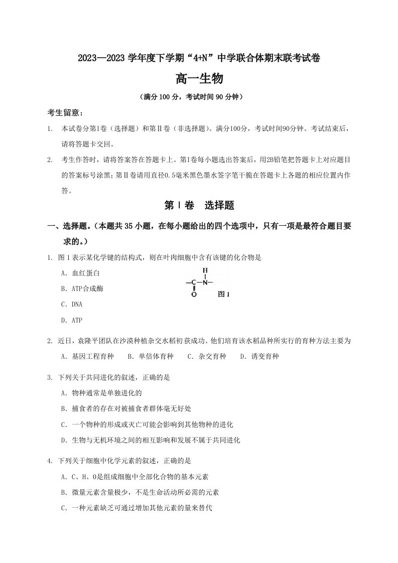 [首发]广西南宁市马山县金伦中学2023-2024学年高一下学期“4+