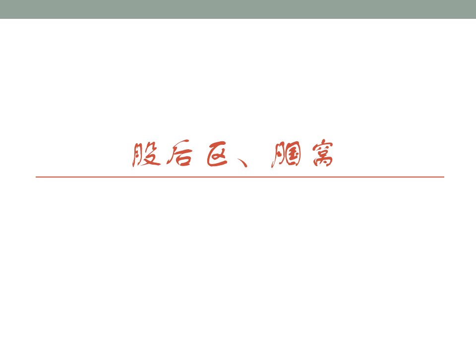 医学局部解剖学-股后区、腘窝