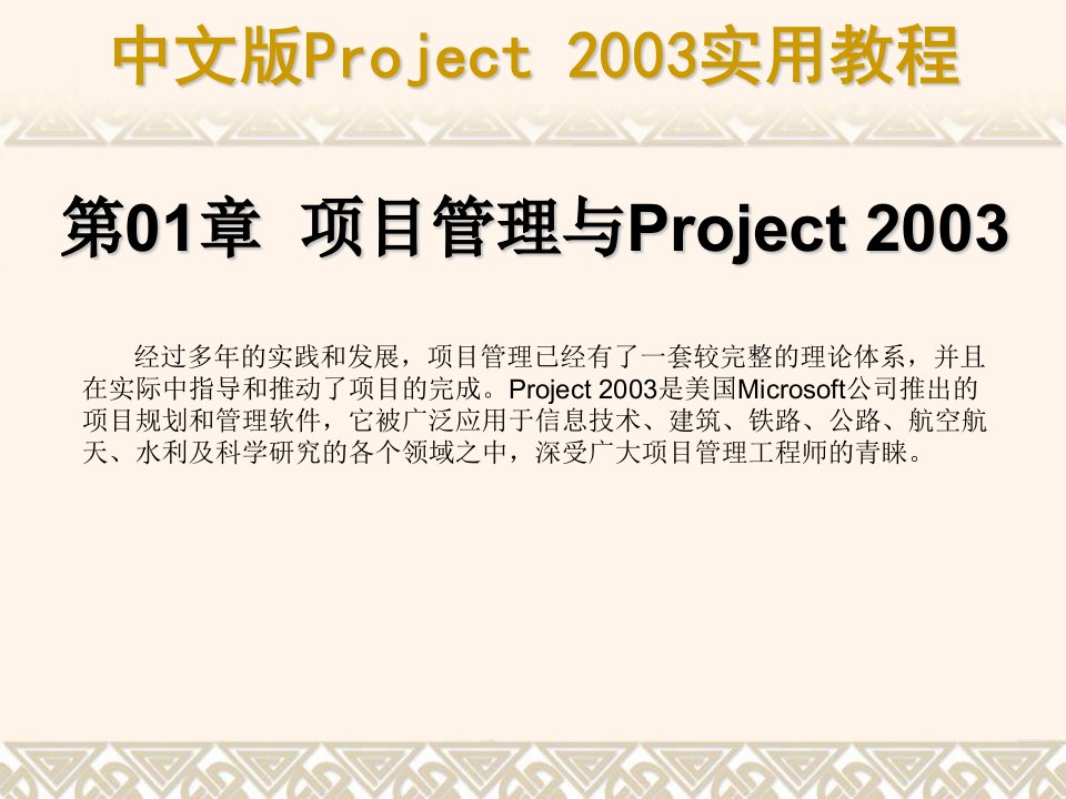 中文版Project2003实用教程