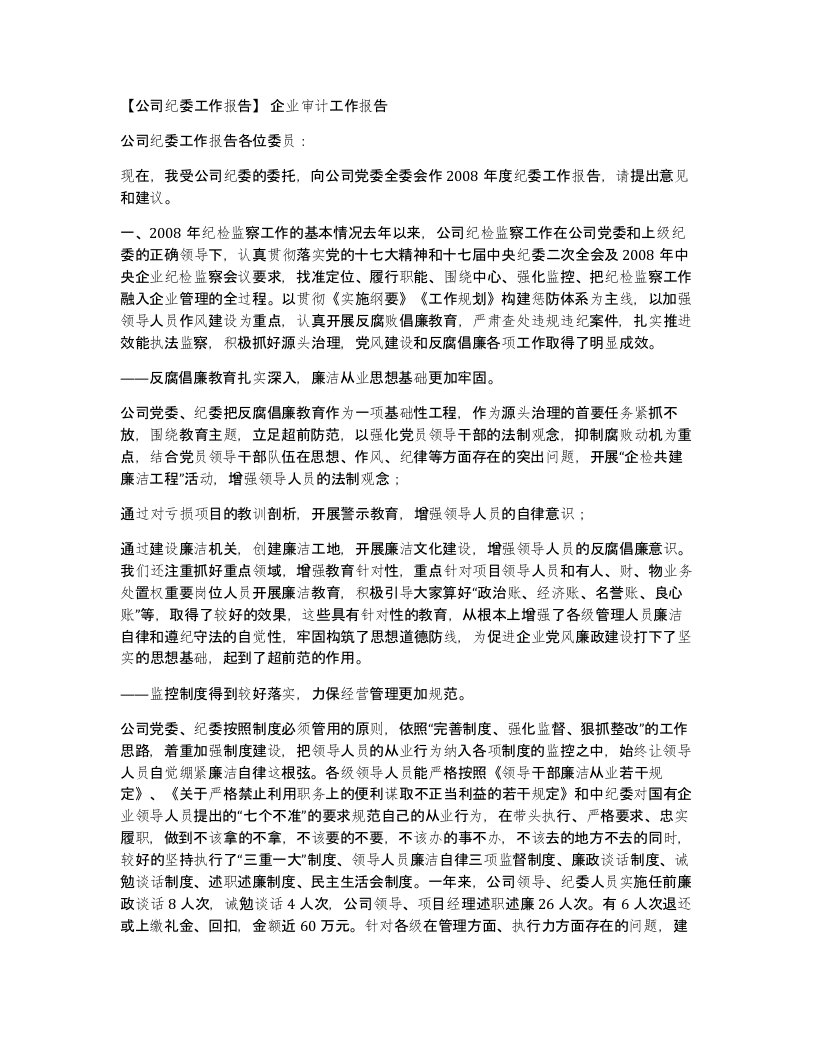 公司纪委工作报告企业审计工作报告