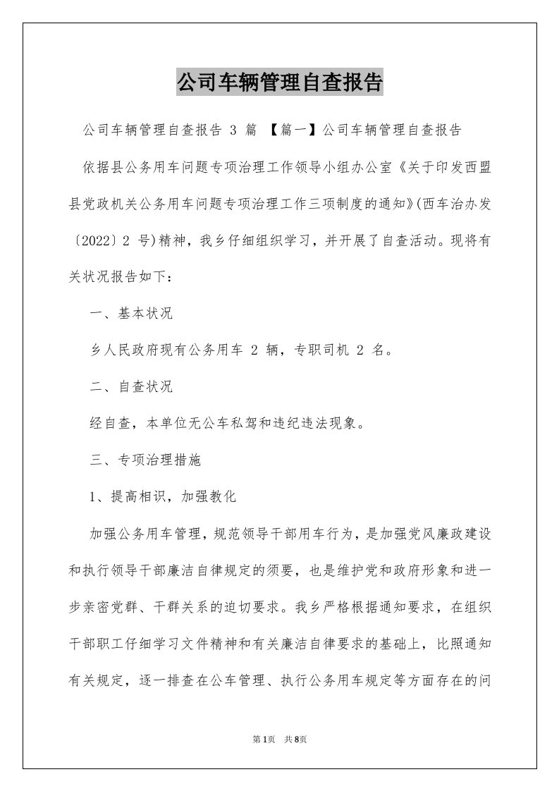 公司车辆管理自查报告